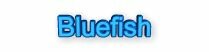 Popular Saltwater Fish Species!,Bluefish,saltwater fishing,game,sport,fishing,boats,boating,massachusetts,weather,tides,tackle,marine,fisherman