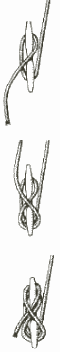 saltwater fishing,bluefish,stripers,flounder,sport,uni-knot,fishing,travel,boating,game,state fish,deep sea fishing,service,water,search,e z ty rope clamp,loran program,boat ramp,haddock,plav,albright knot,what,get,half hitch,haywire twist,state,clinch knot,Berkley knot,convert loran td to gps,lures,website,information,square knot,reel,spool,arbor,tying line,snell,hook,anchor bend,about,web,uniknot,news,find,sites,how,massachusetts,weather,regulations,figure eight,figure 8,bass,palomar knot,supplies,fisherman,tides,codfish,mackerel,tackle,marine,loran,gps