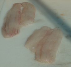 flounder24-295-218.jpg