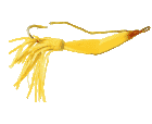 saltwater fishing,bluefish,stripers,flounder,sport,fishing,travel,boating,game,state fish,deep sea fishing,service,water,search,e z ty rope clamp,loran program,boat ramp,haddock,clove hitch,half hitch,bowline,anchor bend,sheet bend,plav,what,get,clinch knot,haywire twist,Berkley knot,uniknot,albright knot,state,convert loran td to gps,lures,website,information,about,web,news,find,sites,how,massachusetts,weather,regulations,bass,supplies,fisherman,tides,codfish,mackerel,tackle,marine,loran,gps